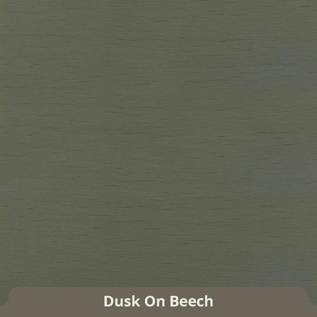 Dusk On Beech / Maple